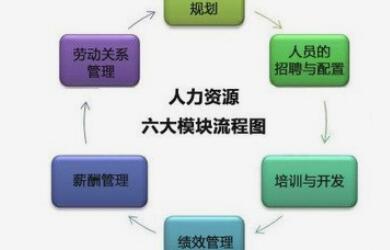 如何选择适合企业发展的人才盘点系统模式？