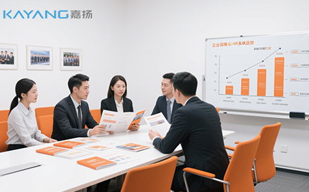 企业规模与HR系统选型指南：嘉扬助力企业高效人力资源管理